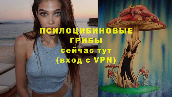 мяу мяу кристалл Новодвинск