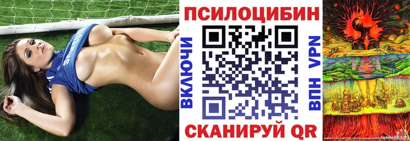Псилоцибиновые грибы Psilocybine cubensis  Вязники 
