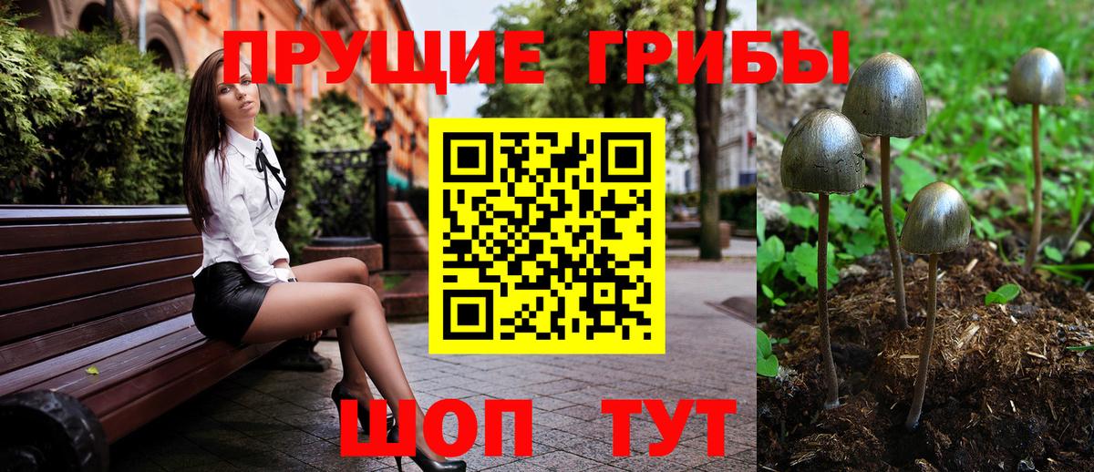 Псилоцибиновые грибы мухоморы Вязники