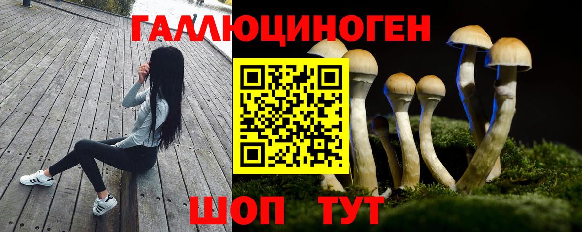 Псилоцибиновые грибы ЛСД Вязники
