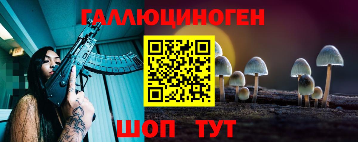 Вязники  что такое   Вход с VPN  Псилоцибиновые грибы Psilocybine cubensis 