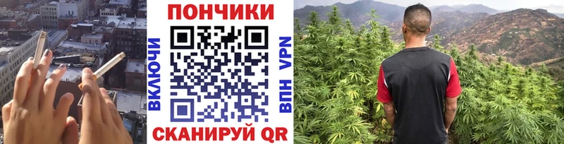 как найти закладки  Вязники  Шишки марихуана планчик 