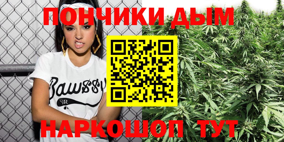 Бошки Шишки планчик Вязники